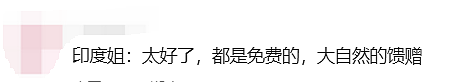 太无耻！华人愤怒刷屏：红衣大妈扫荡街区狂薅万圣节糖果，连装饰灯也偷（组图） - 22