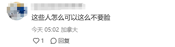 离大谱！印度大妈“扫荡”华人区，糖果灯饰全薅走，视频曝光气炸网友！类似事件澳洲不少见（组图） - 10