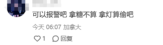 离大谱！印度大妈“扫荡”华人区，糖果灯饰全薅走，视频曝光气炸网友！类似事件澳洲不少见（组图） - 12