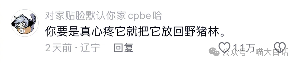 【爆笑】“突然发现网恋对象是室友？”啊啊啊啊啊这是什么抓马剧情（组图） - 18