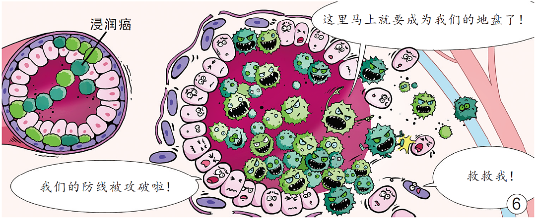 【漫绘科普】乳腺是怎么被癌细胞“攻陷”的（组图） - 6