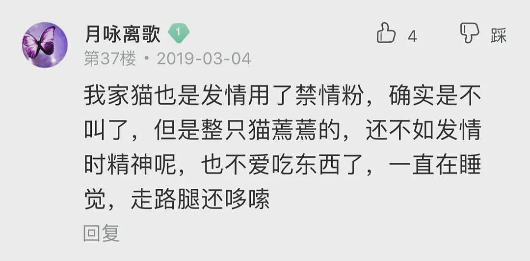 【宠物】大哥偷吃小区猫粮被绝育了，一看医生回复笑喷，网友：哈哈哈哈哈，功德-1-1-1（组图） - 16