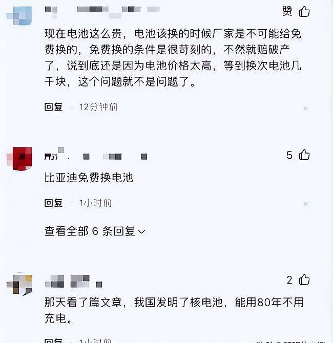 果然被割了？！第一批特斯拉开始换电池，费用吓人（组图） - 2