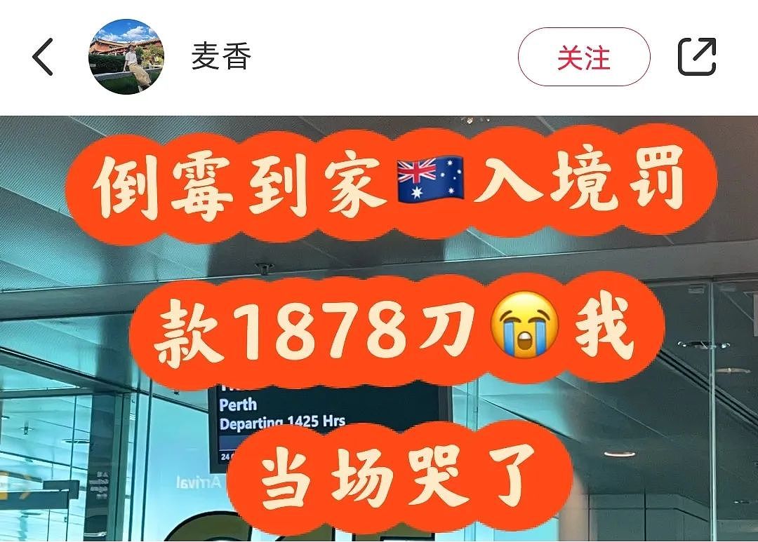 中国女子入境澳洲被罚哭！只因一个苹果，交了$1878（组图） - 1