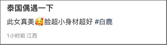 30岁白鹿跟老板于正泰国团建，吊带长裙很纯欲，路人认证身材超好（组图） - 14