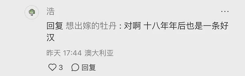 出大事！华人澳洲生活12年突遭驱逐回国！身份曝光后，引全网关注！一切都晚了...（组图） - 9