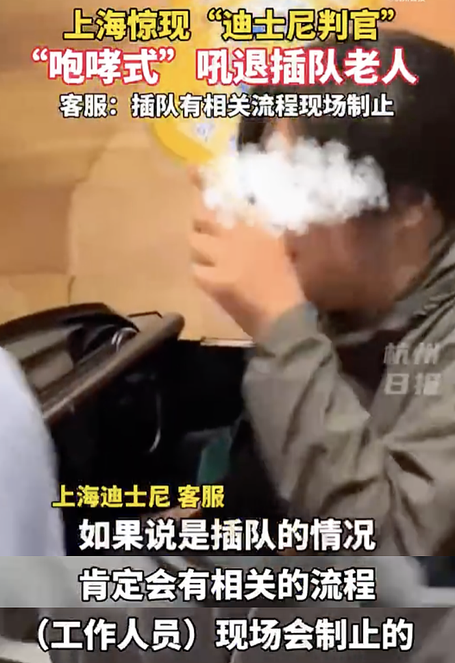 上海迪士尼疑老太带孙插队被后排女子怒吼：“下！去！” 没想到网友吵开了（视频/组图） - 9