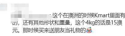 妈妈们收藏！澳洲Kmart年度最受好评物品出炉，还有踩雷名单（组图） - 113