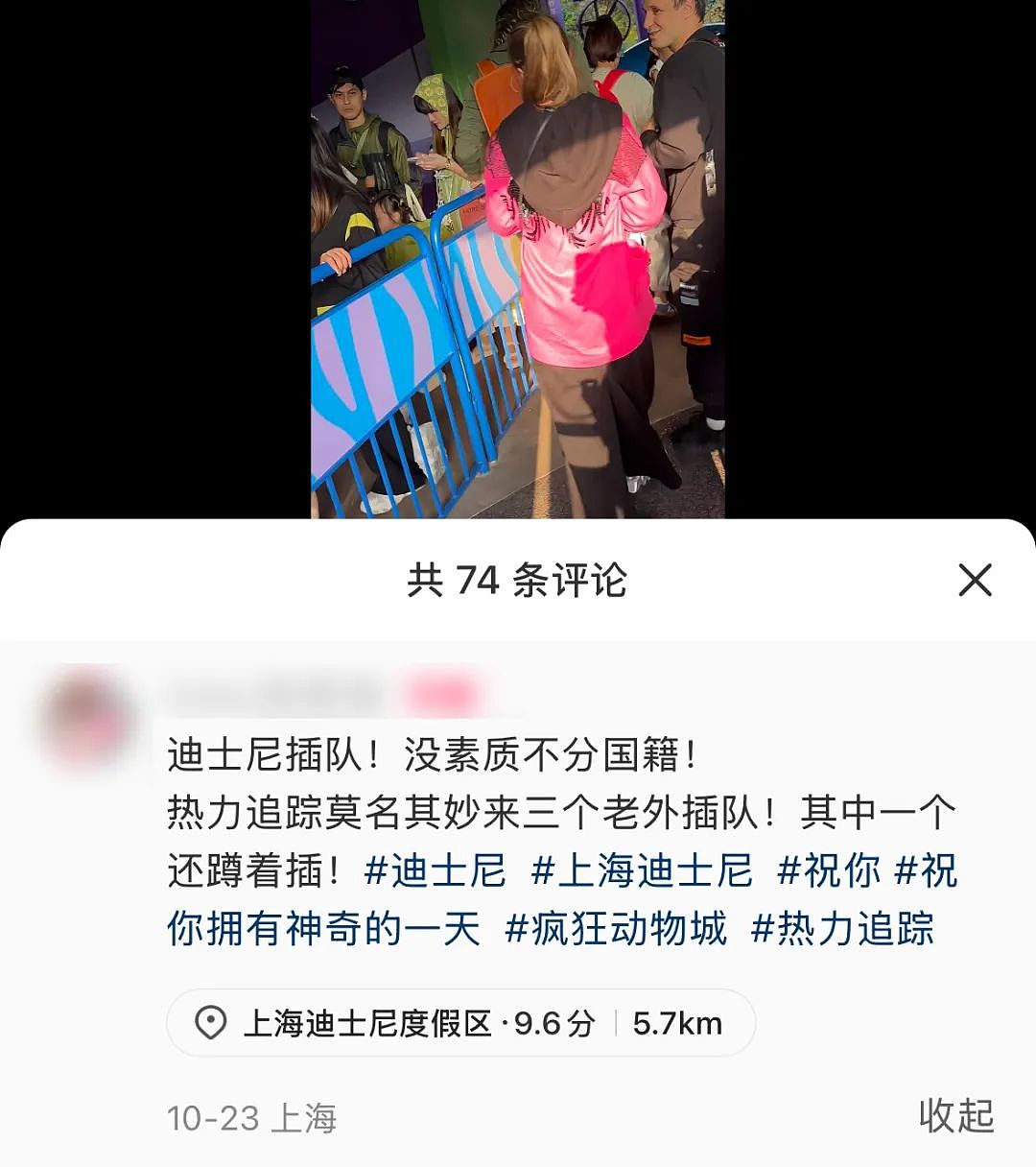 上海迪士尼疑老太带孙插队被后排女子怒吼：“下！去！” 没想到网友吵开了（视频/组图） - 16