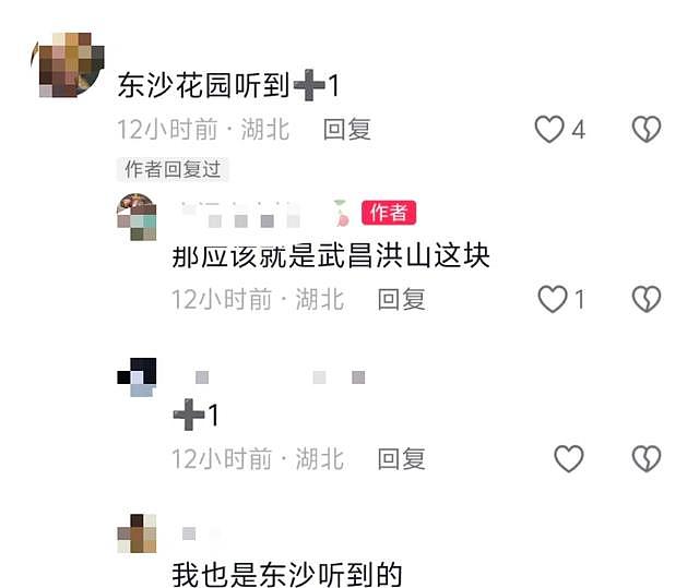 武汉多地网友称凌晨听到巨响，亲历者：听着明显像从地面发出，多方回应（组图） - 5