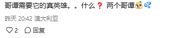 砸20亿，墨尔本东南又一个地方要建第二个维州首府！（组图） - 19