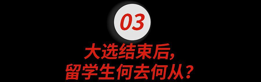 小红书才是美国大选最大的摇摆州吧？无论谁赢，留子都输麻了...（组图） - 17