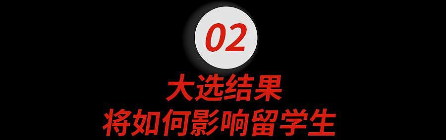 小红书才是美国大选最大的摇摆州吧？无论谁赢，留子都输麻了...（组图） - 12