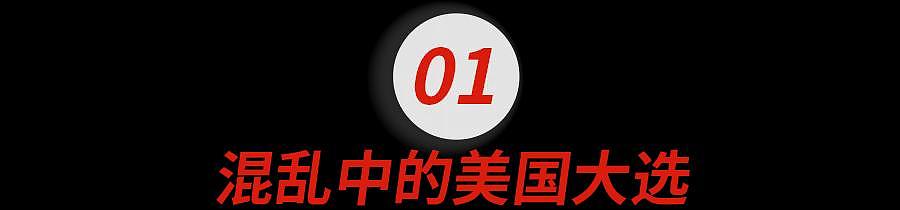 小红书才是美国大选最大的摇摆州吧？无论谁赢，留子都输麻了...（组图） - 6