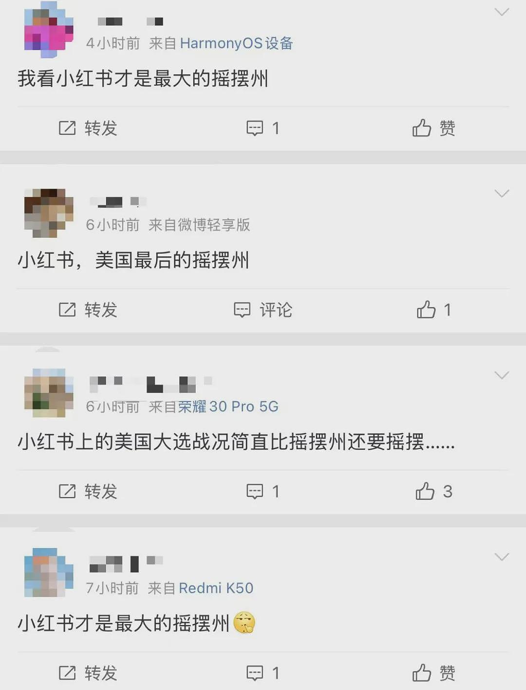 小红书才是美国大选最大的摇摆州吧？无论谁赢，留子都输麻了...（组图） - 2