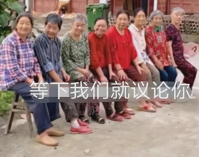 【宠物】网友妈妈为了猫，狠狠扇了亲戚小孩一巴掌，引全网小猫膜拜：你妈妈是英雄（组图） - 22