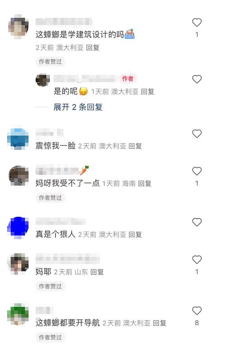 悉尼蟑螂怪逆天室友（组图） - 8