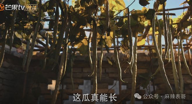 范丞丞的演技到底有多差？（组图） - 39