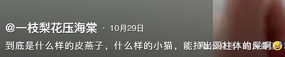 【爆笑】“男票背着我偷偷和女生聊天？”啊啊啊啊啊我嘞个赛博捉奸（组图） - 85