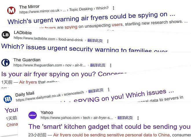 中国空气炸锅正在监视用户？外国专家发出警告，网友评论却能把人笑死（组图） - 6