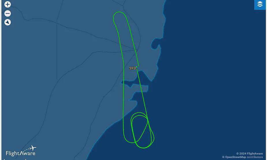 刚刚，一声巨响！悉尼机场突发爆炸，载174人客机紧急降落！现场浓烟滚滚，全澳机场大瘫痪…（组图） - 4