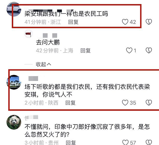 四太梁安琪现身刀郎演唱会！与普通人坐一起，网友：她也是农民工（组图） - 9