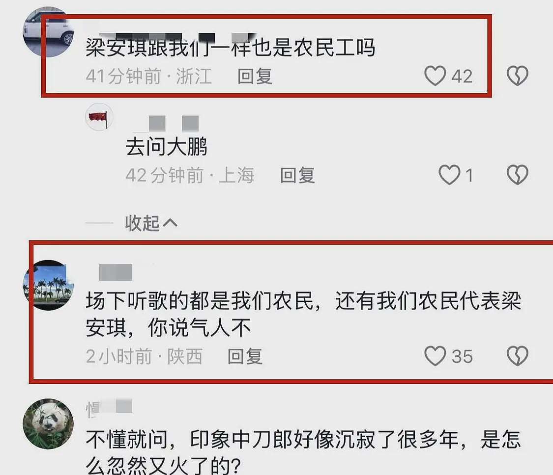 四太梁安琪现身刀郎演唱会！与普通人坐一起，网友：她也是农民？（组图） - 9