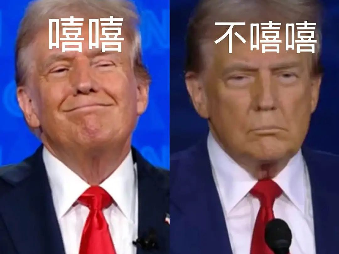 拜登放大招！哈里斯没当上总统，但可能要当最高法大法官了……（组图） - 11