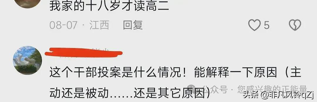 颜值不输明星的美女美女局长主动投案：18岁步入仕途，辉煌与堕落并存（视频/组图） - 9