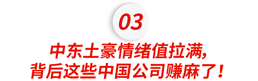 “迪拜王子们”上头直播PK，一场打赏2亿元，背后中国公司赚麻了（组图） - 12