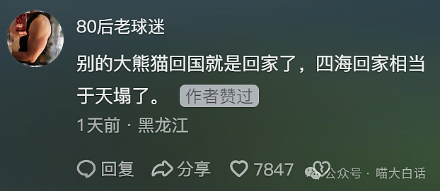 【爆笑】“相亲对象做饭把自己毒晕了？”哈哈哈哈哈这是黄磊亲传弟子吧（组图） - 66