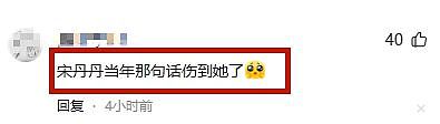 杨紫32岁生日照惹争议！网友直呼太像刘晓庆虞书欣，媒体发文吐槽（组图） - 23