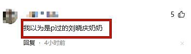 杨紫32岁生日照惹争议！网友直呼太像刘晓庆虞书欣，媒体发文吐槽（组图） - 18