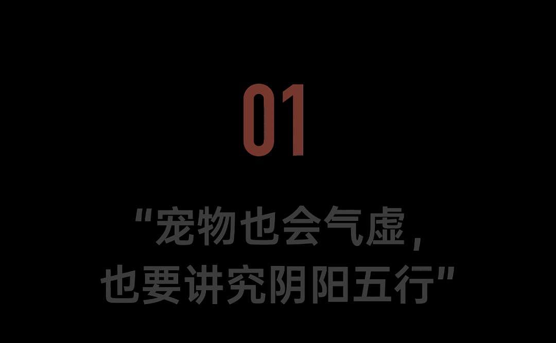 不婚不育的中国年轻人，砸出5000亿级的大市场（组图） - 1