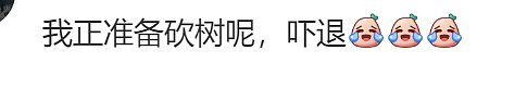 悉尼华人家屋顶被砸穿！只因政府一个判定，差点毁了一家人...（组图） - 15