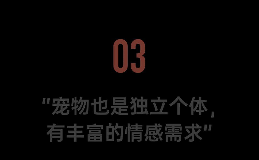 不婚不育的中国年轻人，砸出5000亿级的大市场（组图） - 18