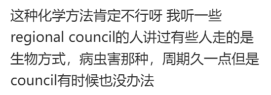 悉尼华人家屋顶被砸穿！只因政府一个判定，差点毁了一家人...（组图） - 21