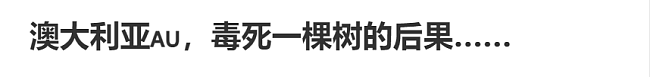 悉尼华人家屋顶被砸穿！只因政府一个判定，差点毁了一家人...（组图） - 12