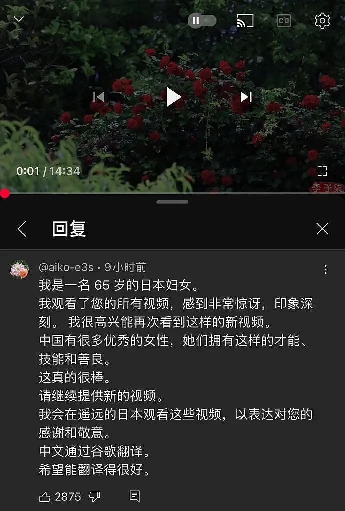 李子柒回归仍是顶流，一夜涨粉百万！停更的3年里，主要是“补瞌睡，陪奶奶”（组图） - 41