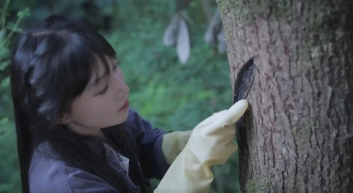 李子柒回归首秀！写错漆字被嘲，视频记录写错过程，网友评价两极化（组图） - 4