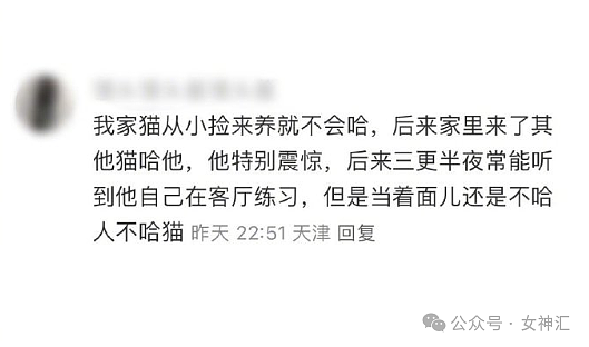 【爆笑】男朋友送我一双巴黎世家的鞋子，收到后..？网友夺笋：这脚趾得张开吗（组图） - 9