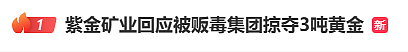 热搜第一！中国矿业巨头被抢3.2吨黄金，价值15亿！疑贩毒集团所为（组图） - 1