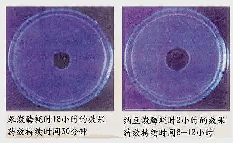 两次断崖式衰老​共同特征：血管老化（组图） - 18