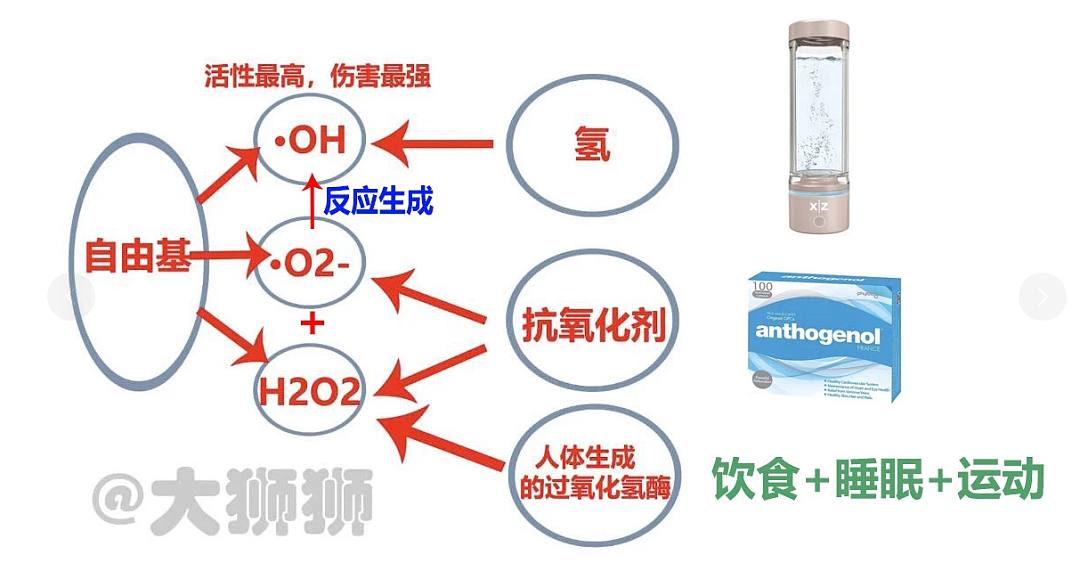 两次断崖式衰老​共同特征：血管老化（组图） - 11