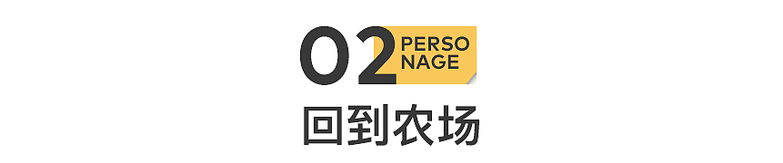 北京的年轻人，回到西北农村放羊（组图） - 8