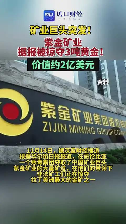 太诡异了！为什么华尔街日报披露之后，紫金矿业才承认黄金被盗？（组图） - 23