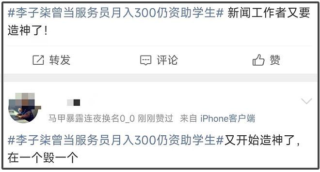 李子柒热搜翻车！曾月入300资助学生遭质疑，网友痛批媒体造神（组图） - 14