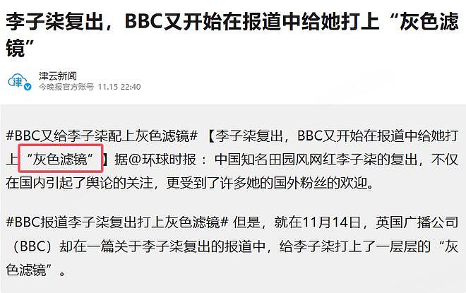 网友怒批！BBC报道李子柒复出时配图又加“阴间滤镜”？经对比与原片段画面一致（组图） - 14