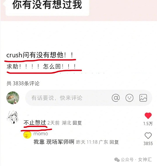 【爆笑】LV的狗窝要47w？这狗链是认真的吗？网友傻眼：有钱人的生活无法想象！（组图） - 30