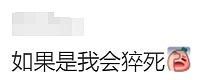 太拼了！每周往返墨尔本和山东，中国留学生几个月极限“国际走读”，真实记录（组图） - 34